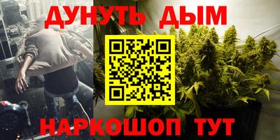 сатива Гай