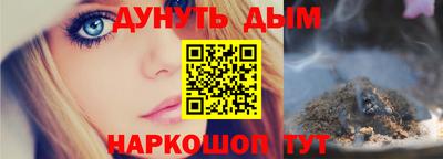 сатива Гай