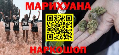 сатива Гай