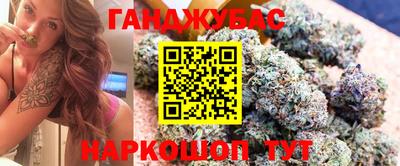 сатива Гай